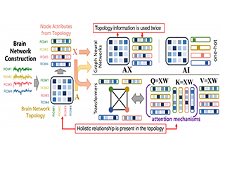 ICML Poster Do We Really Need Message Passing in Brain Network